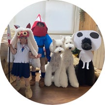 たまねぎのプロフィール画像